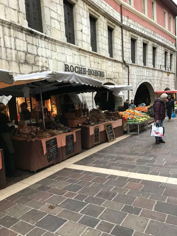 La Perle De La Vieille Ville D'Annecy Appartamento Esterno foto
